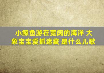 小鲸鱼游在宽阔的海洋 大象宝宝爱抓迷藏 是什么儿歌